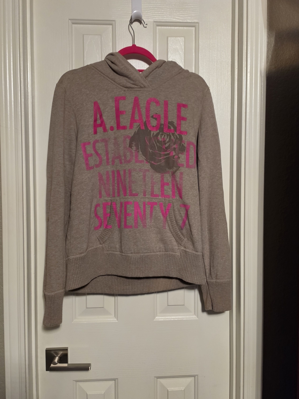 American Eagle Outfitters Pullover Hoodie